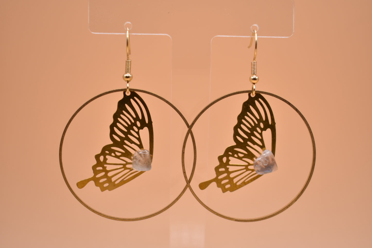 Fly In Transformation