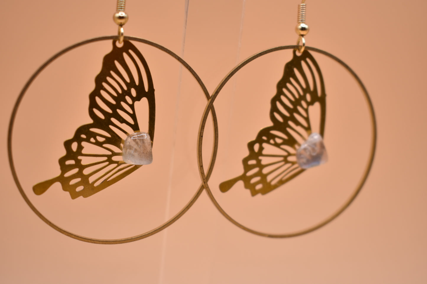 Fly In Transformation