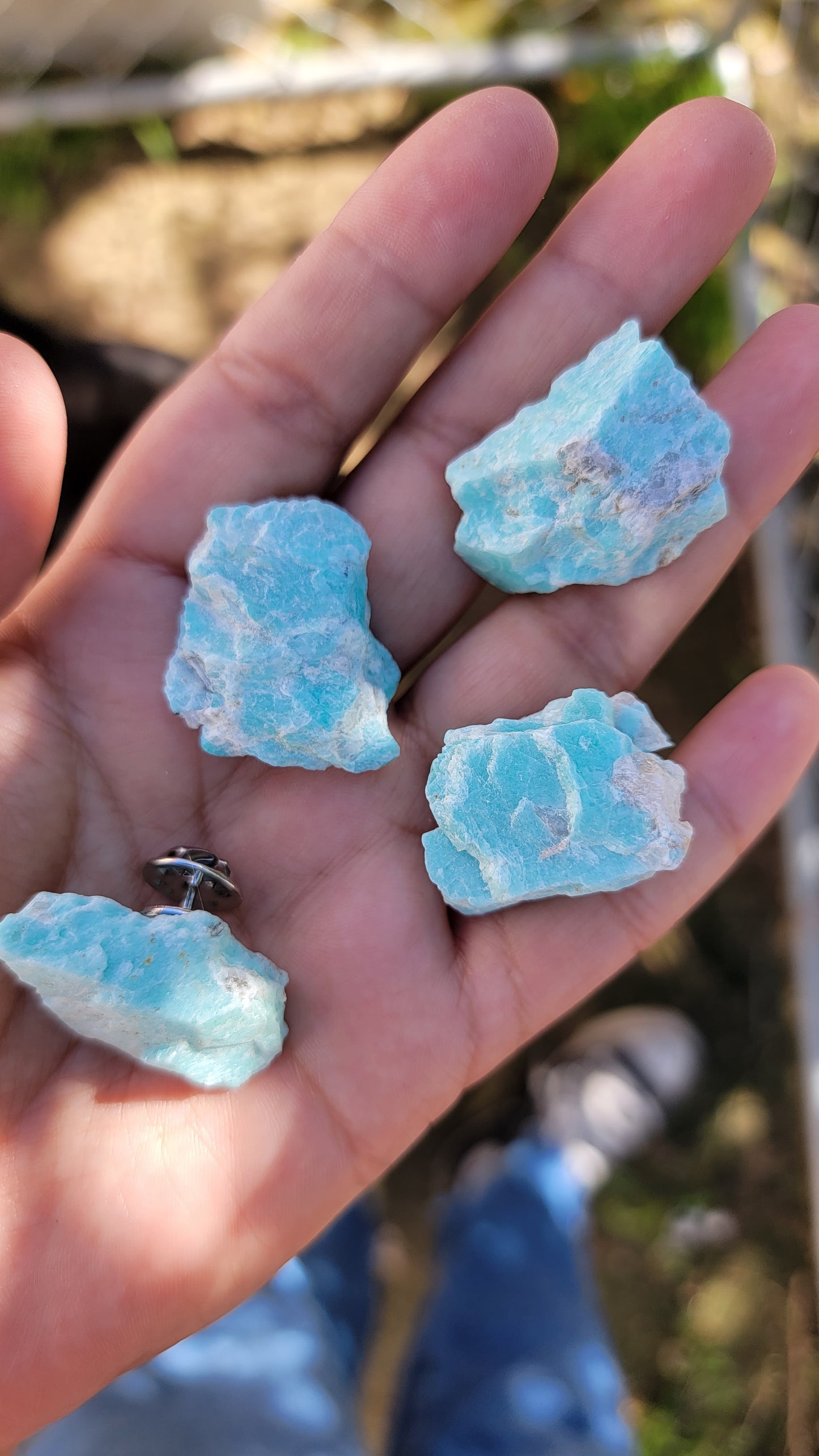 Raw Amazonite Pins